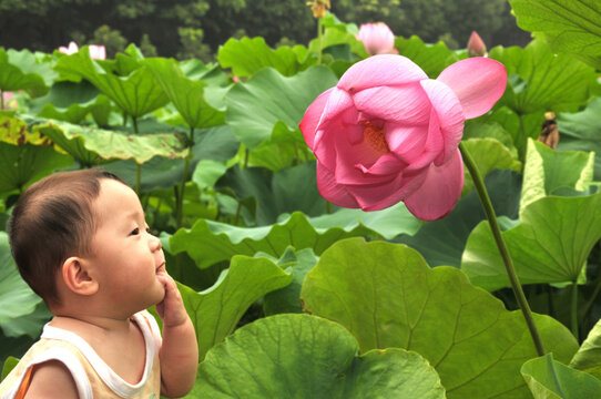 a chinese baby is playing at the lotus flower pond