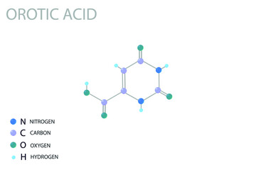 Orotic acid molecular skeletal 3D chemical formula.	