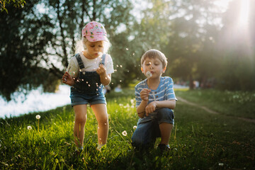 Cute little children blowing off dandelion seeds on sunset in park. Photo with backlight
