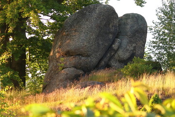 A rock under a tree on a hill resembling the head of a stone giant. Sleeping stone man.