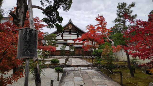 Tenryuji temple during autumn season in Arashiyama Kyoto Japan