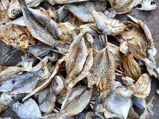 dried fish on the market, Tamil Nadu India 