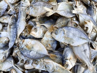  attractive view of the Dry fish in the  market 