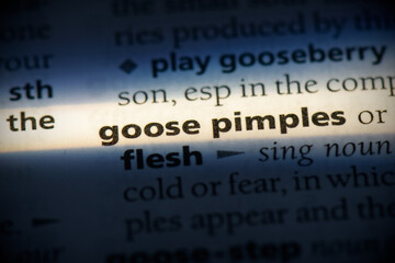 goose pimples