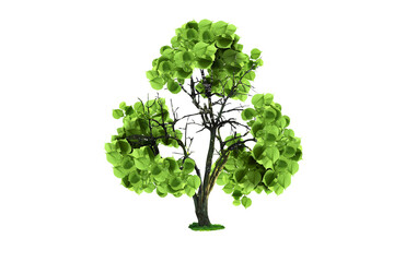 Fototapeta premium Tree with green leaves in shape of recycling symbol on white background