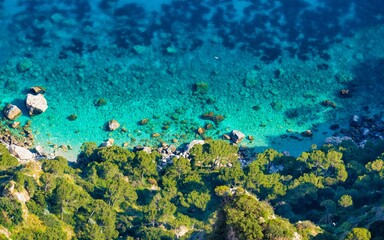 Fototapeta na wymiar Rocky coast of Mediterranean Sea near island of Capri in Italy. Clean and clear blue water, green trees, sunny summer weather.