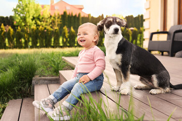 Adorable baby and furry little dog on wooden porch outdoors