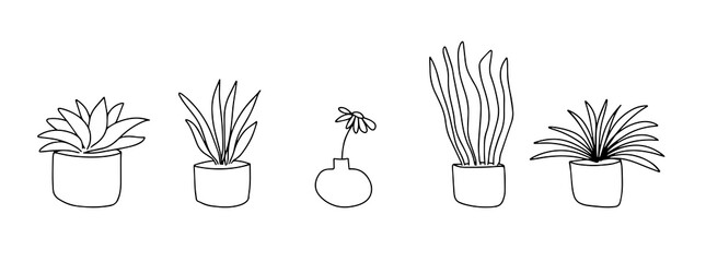 Set of flowers for home. Flowers in pots are drawn with a black line on a white background. Vector drawing lines