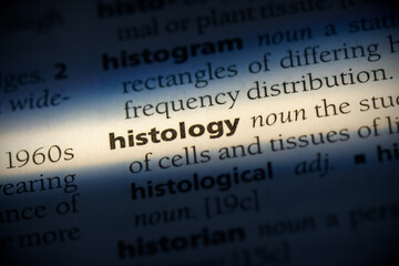 histology - obrazy, fototapety, plakaty