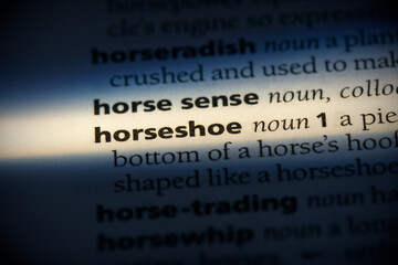 horseshoe