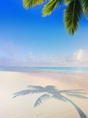 Fototapeta beautiful summer tropical holiday background; suny sandy beach, palm tree and sunset sea sky obraz