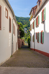 A beautiful old town alley in Heidelberg in southern Germany with typical buildings and view to the river Neckar and mountains on the other side of the river