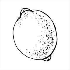 Lemon Black and white doodle vector hand drawn. Vector EPS10. Use for print on wallpapers, fabrics, invitations, packaging, postcards, stationery, etc