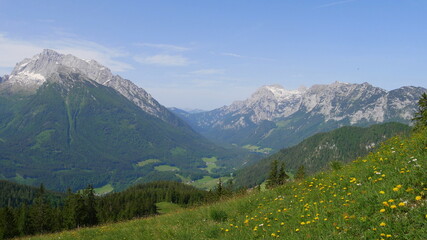 Fototapeta premium Herrliche Blumenwiese beim Hirscheck mit Blick auf die Berchtesgadener Alpen