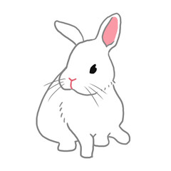 おすわりしている白うさぎ