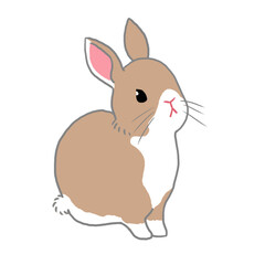 ちょこんと座っている茶色うさぎ