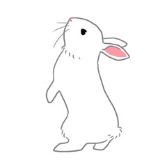 二本足で立っている白うさぎ