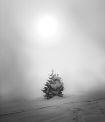 Winter at Soriska Planina