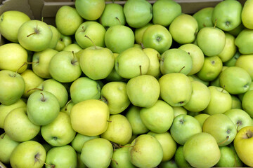 Green apples on the counter at the market, fruit in the store. Selective focus