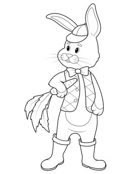 Isolated character, pet rabbit in clothes with a carrot in its paw. Children coloring book, raster.