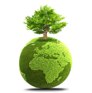 grass planet  with a tree 3D illustration