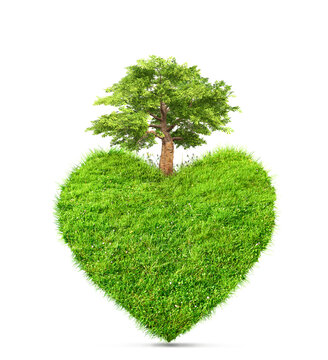 green grass in heart shape and tree isolated 3D illustration