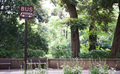 Bus stop in a forest surrounded by greenery