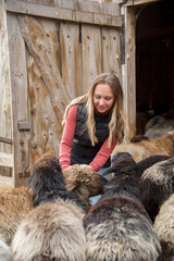 girl feed sheep and goat on the farm in autumn 