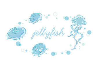 jellyfish © 綾 小倉