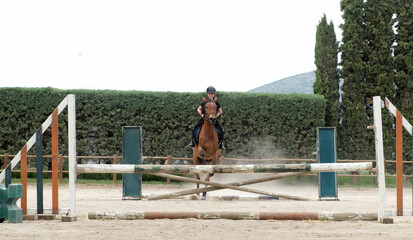 Young boy on horse jumping over obstacles during training in paddock, horse riding lessons.