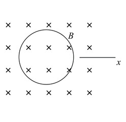 A conducting loop carrying a current I is placed in a uniform magnetic field pointing into the plane of the paper