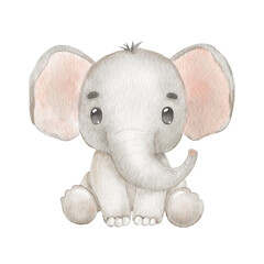 Cute portraits elephant in cartoon style. Drawing african baby wild animal isolated on white background. Jungle animal is sitting - obrazy, fototapety, plakaty