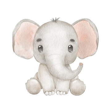 Cute portraits elephant in cartoon style. Drawing african baby wild animal isolated on white background. Jungle animal is sitting