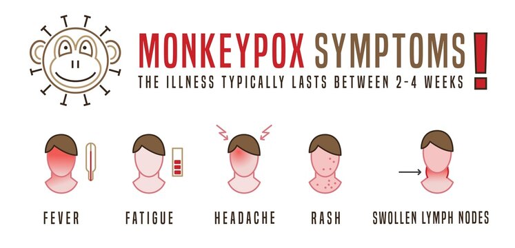 Main monkeypox symptoms. Pox virus icons. Vector illustration