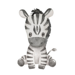 Cute portraits zebra in cartoon style. Drawing african baby wild animal isolated on white background. Jungle animal is sitting © Elena