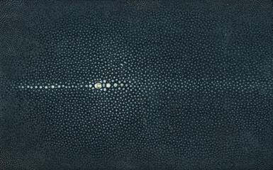 Beautiful dark blue tanned shagreen stingray skin isolated