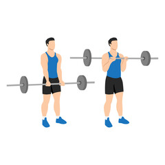 Fototapeta na wymiar Man doing Reverse barbell curl. Flat vector illustration isolated on different layers. Workout character