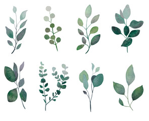Green leaves watercolor hand painted elements, wedding watercolor, plants branch, rustic decor