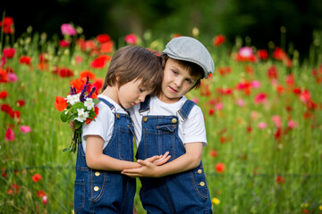 Two cute preschool children, boy brothers, in poppy field, holding a bouquet of wild flowers