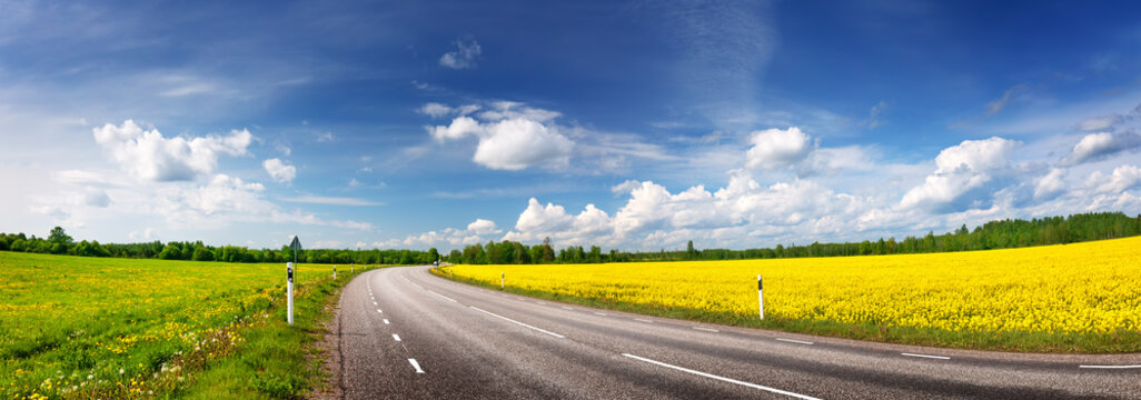 Panoramic view of the curve asphalt road in spring in nature.