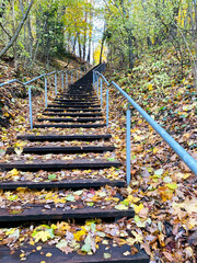 Staircase up. Autumn forest. Staircase in the forest