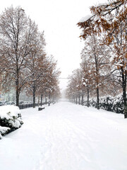 City street in the snow without people. Snowing.