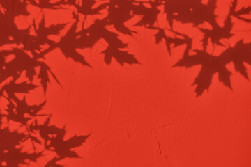 Shadow of willow leaves on red concrete wall texture with roughness and irregularities. Abstract trendy colored nature concept background. Copy space for text overlay, poster mockup flat lay 