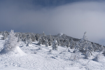 四阿山　冬　登山