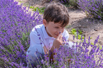 White boy 9 years old inhales the wonderful smell of lavender in the field