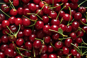 Close up of ripe red cherries. Summer cherries.