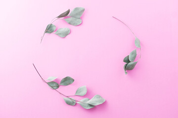 Creative layout made with green eucaliptus leaves on pink background. Minimal nature love idea. Spring concept.