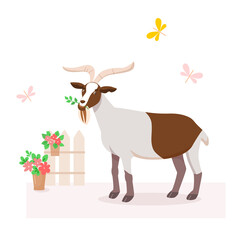Cute goat chews grass near fence with flowers. Vector illustration of a dairy farm or petting zoo for kids. Farm animal in flat style isolated on white background.