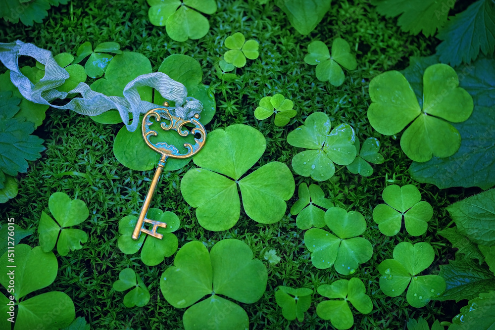 Canvas Prints beautiful vintage key and green clover leaves on dark moss natural abstract background. spring summe