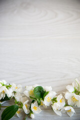 Wooden background with blooming white jasmine and empty space